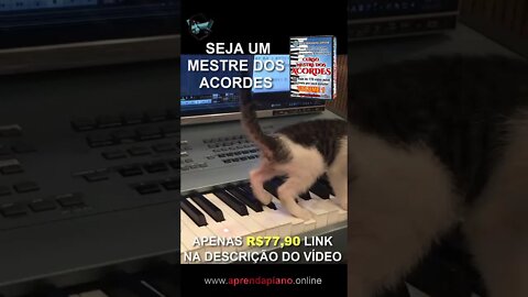 ESSE É O PULO DO GATO PRA APRENDER TOCAR TECLADO SUPER TOP #Shorts