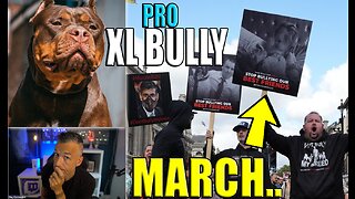 Thousands of Pro XL BULLY CAMPAIGNERS Rally Against Dog Ban!
