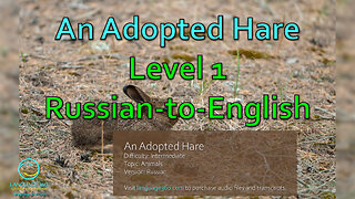 An Adopted Hare: Level 1 - Russian-to-English