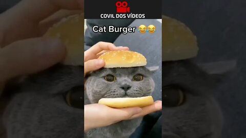 gato burguer 😂😂