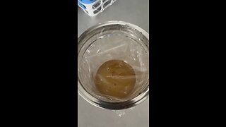 How to get rid of fruit flies