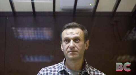 Navalny in ‘critical’ situation after possible poisoning