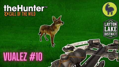 The Hunter: Call of the Wild, Vualez #10 Layton Lakes (PS5 4K)