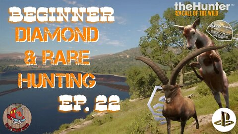 Beginner Diamond & Rare Hunting Ep 22 theHunter Call of the Wild