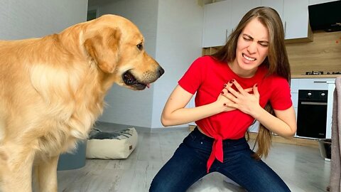 Faking My Death In Front of My Dog - Funny Dog Reacts