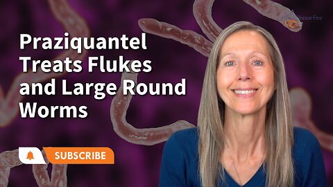 Praziquantel Treats Flukes, Tapeworms & Large Roundworms