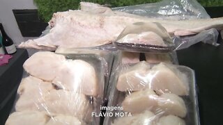 Bacalhau: um dos pescados mais procurados que deve fisgar parte dos consumidores