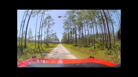 Scouting Osceola in a 2022 Wildtrak Bronco