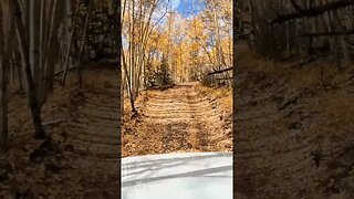 Off-Roading Adventure on Twin Cone Trail, Colorado | Epic Fall Exploration PT 14