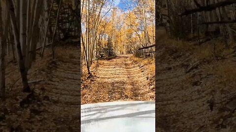 Off-Roading Adventure on Twin Cone Trail, Colorado | Epic Fall Exploration PT 14