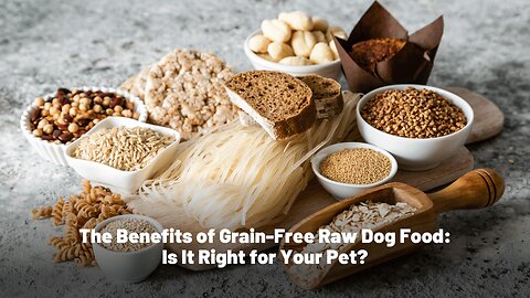 Is Grain-Free Raw Dog Food the Right Choice for Your Pup? 🐾