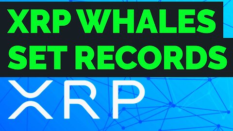 XRP Ripple 10 year record, Crypto Exec gives WARNING...