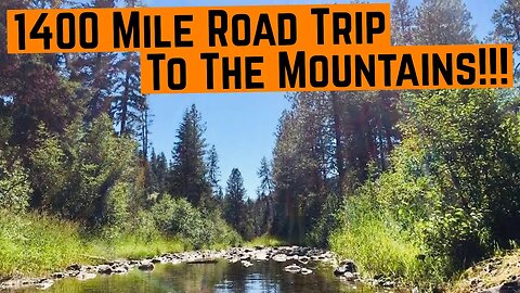 Umatilla National Forest Hammock Camping | July 2016