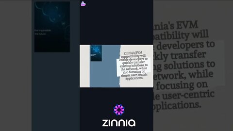 smart contract on zinnia Network