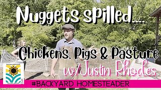 @theJustinRhodesShow Farm Tour | Chicken Pig and Pasture Nuggets