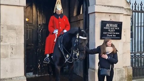 Tourist shocked the horse bit her #horseguardsparade