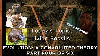 Evolution: A Convoluted Theory Part 4 - Living Fossils