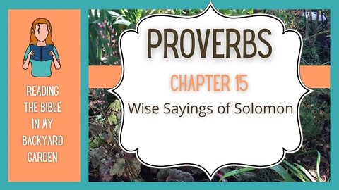 Proverbs Chapter 15 | NRSV Bible