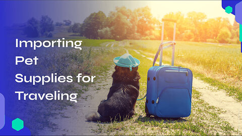 Pet Supplies for Travel: Import Guide