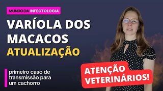 Atualização Variola dos Macacos, atenção veterinários! Primeiro caso de transmissão para cachorro.