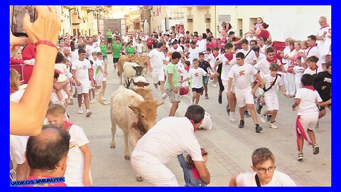 CADREITA ( NAVARRA ) TARDE ENCIERRO CHIQUI ( MIERCOLES 19 JULIO 2023 ) GANAD.KYRA ZAPATERIA