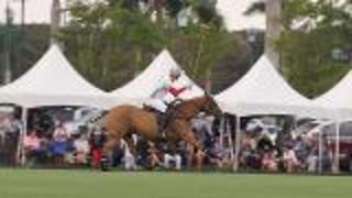 Play Polo In Palm Beach