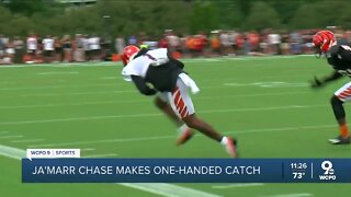 Ja'Marr Chase makes one-handed catch at Bengals training camp