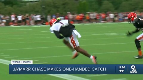 Ja'Marr Chase makes one-handed catch at Bengals training camp