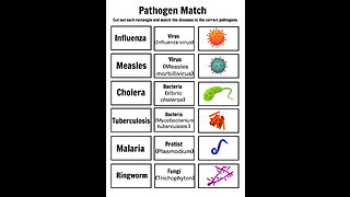 Dr. Sam Bailey-Why Pathogens Don't Exist