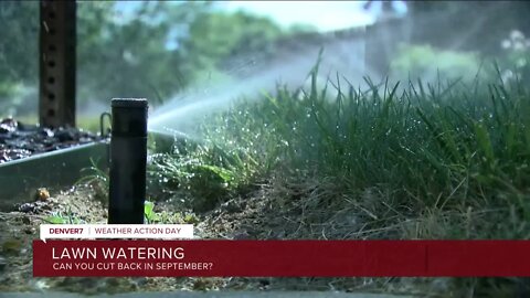 Don't cut back on lawn watering yet