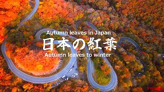 90.Autumn leaves in Japan