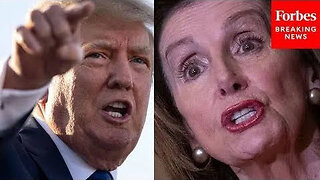 DONALD TRUMP: 'WE'RE GOING TO END CRAZY NANCY PELOSI'S POLITICAL CAREER' - TRUMP NEWS