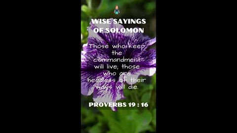 Proverbs 19:16 | NRSV Bible - Wise Sayings of Solomon