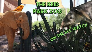 BEC Watch Entries: #26 Reid Park Zoo