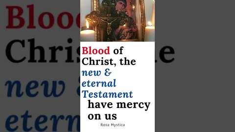 Blood of Christ, new & eternal Testament, have mercy on us #shorts