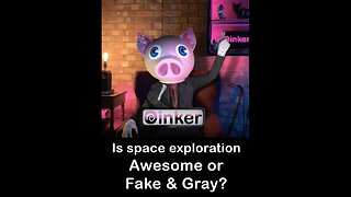 Oinker Poll - Is Space, Awesome or Fake & Gray?