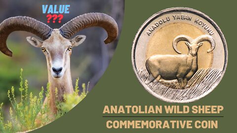 ANATOLIAN WILD SHEEP THEMED COMMEMORATIVE COIN - COINS COLLECTION