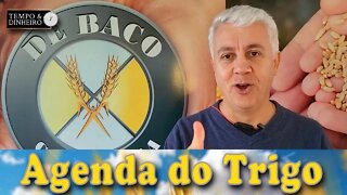 Esqueceram do trigo?