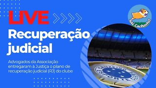 Recuperação judicial