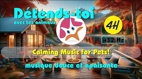 4H de musique pour chien et chat - Le Sommeil Éternel