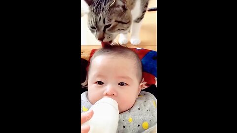 Funny baby cat 😸 video 🤣