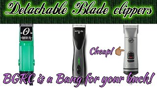 Detachable Blade Clipper history classic 76 bgrc andis supra zr 2