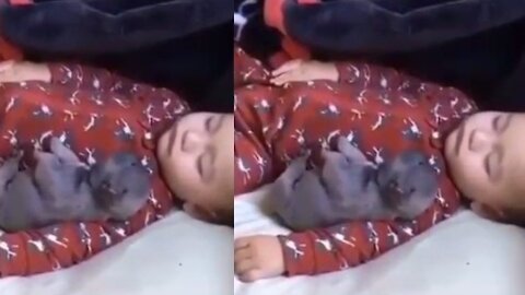 baby sleeps sweetly with puppies