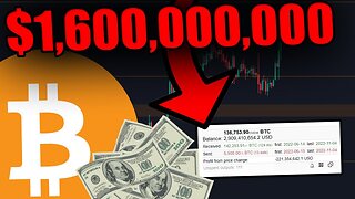 THIS CRAZY BITCOIN WHALE JUST MADE A $1,600,000,000 MOVE!