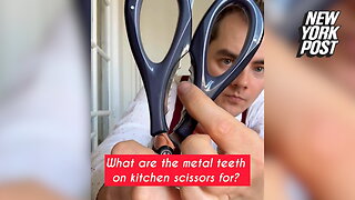 TikTokers find out what kitchen scissors are actually used for
