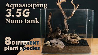 Aquascape and Chill | Nature Aquarium For Shrimp & Nano Fish | STEP-BY-STEP