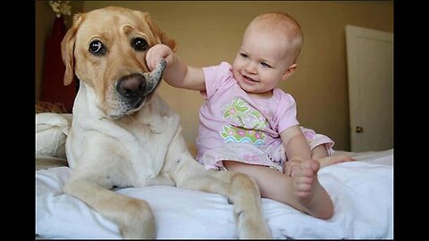 Cute dog and baby playing 🥰