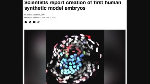 Computer Generated Synthetic Human Embryos. Human Depopulation Plan. A Call For Judgement