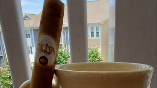 Oliva Connecticut Reserve cigar review