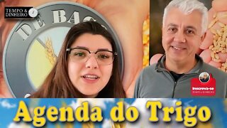 O mercado aguarda o USDA, mas antecipa correções...